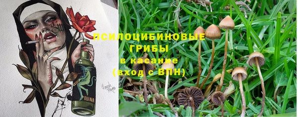 спайс Наволоки