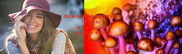марки lsd Навашино